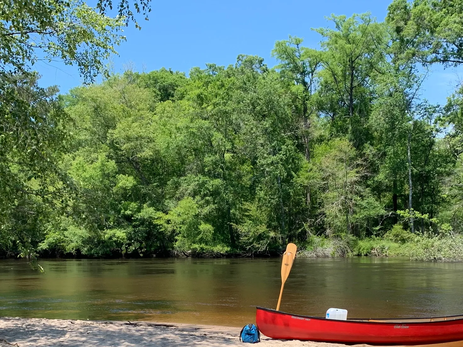 Edisto River at Black Pearl Farms