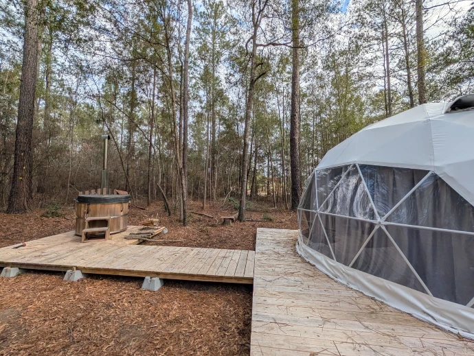 Geodesic Dome