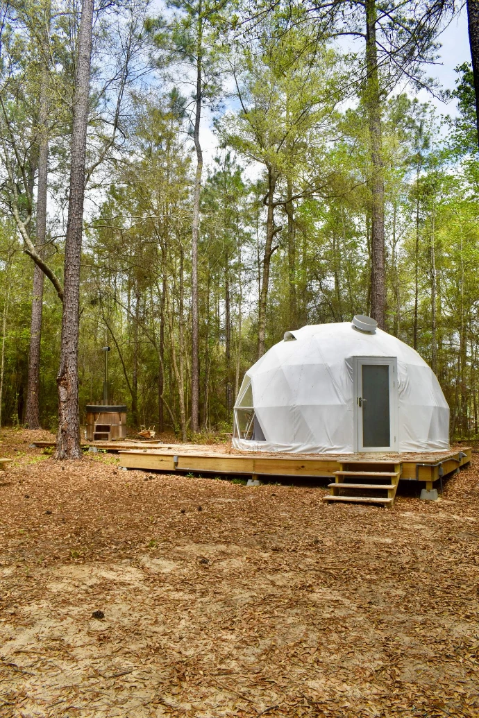 Geodesic Dome