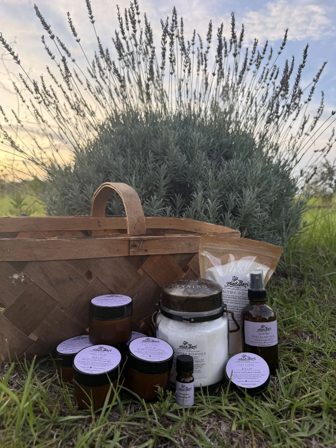 Lavender Tallow sun care, tallow balm, dishwasher detergent, washing power